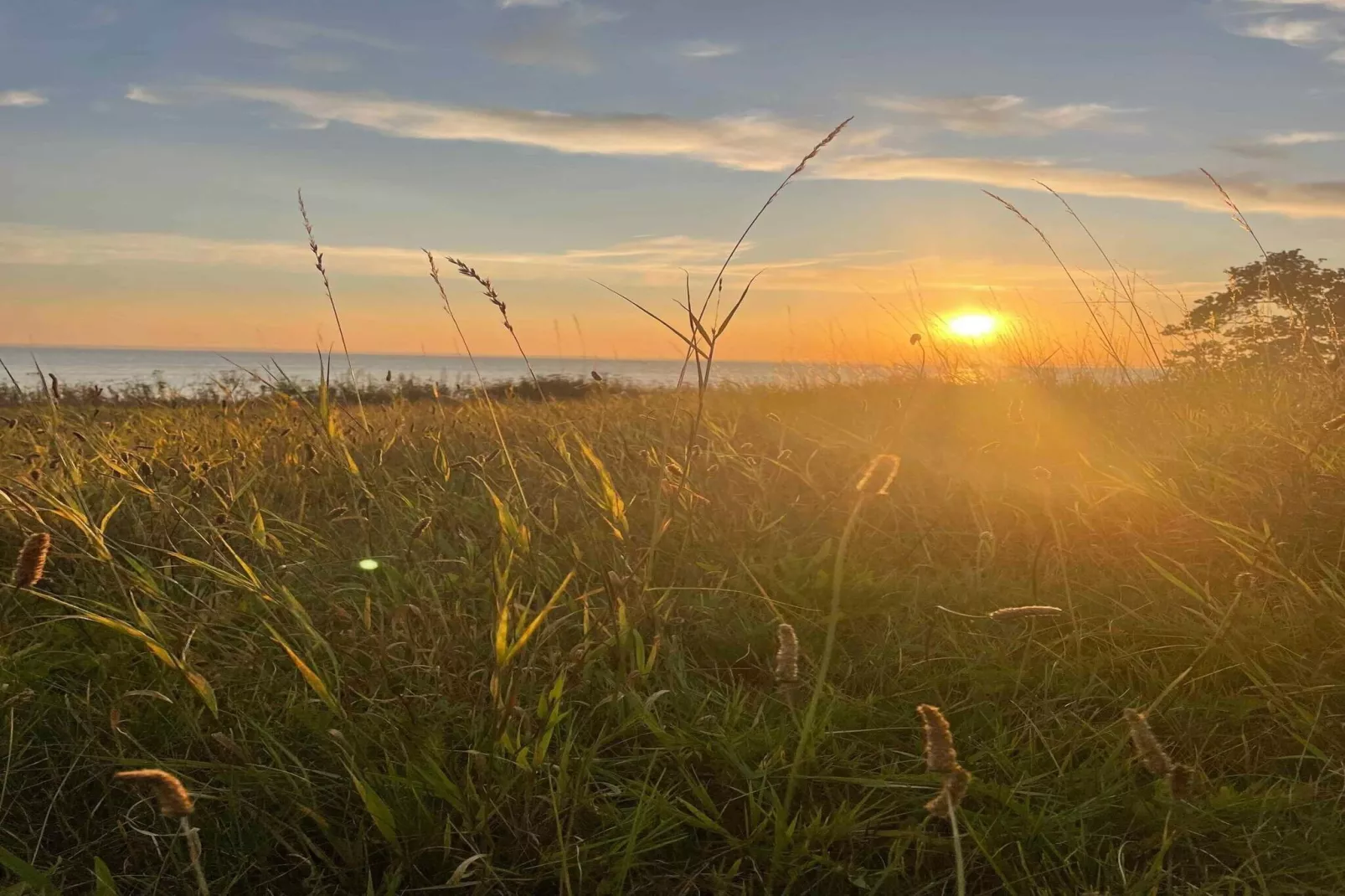 5 sterren vakantie huis in Vordingborg-Niet-getagd