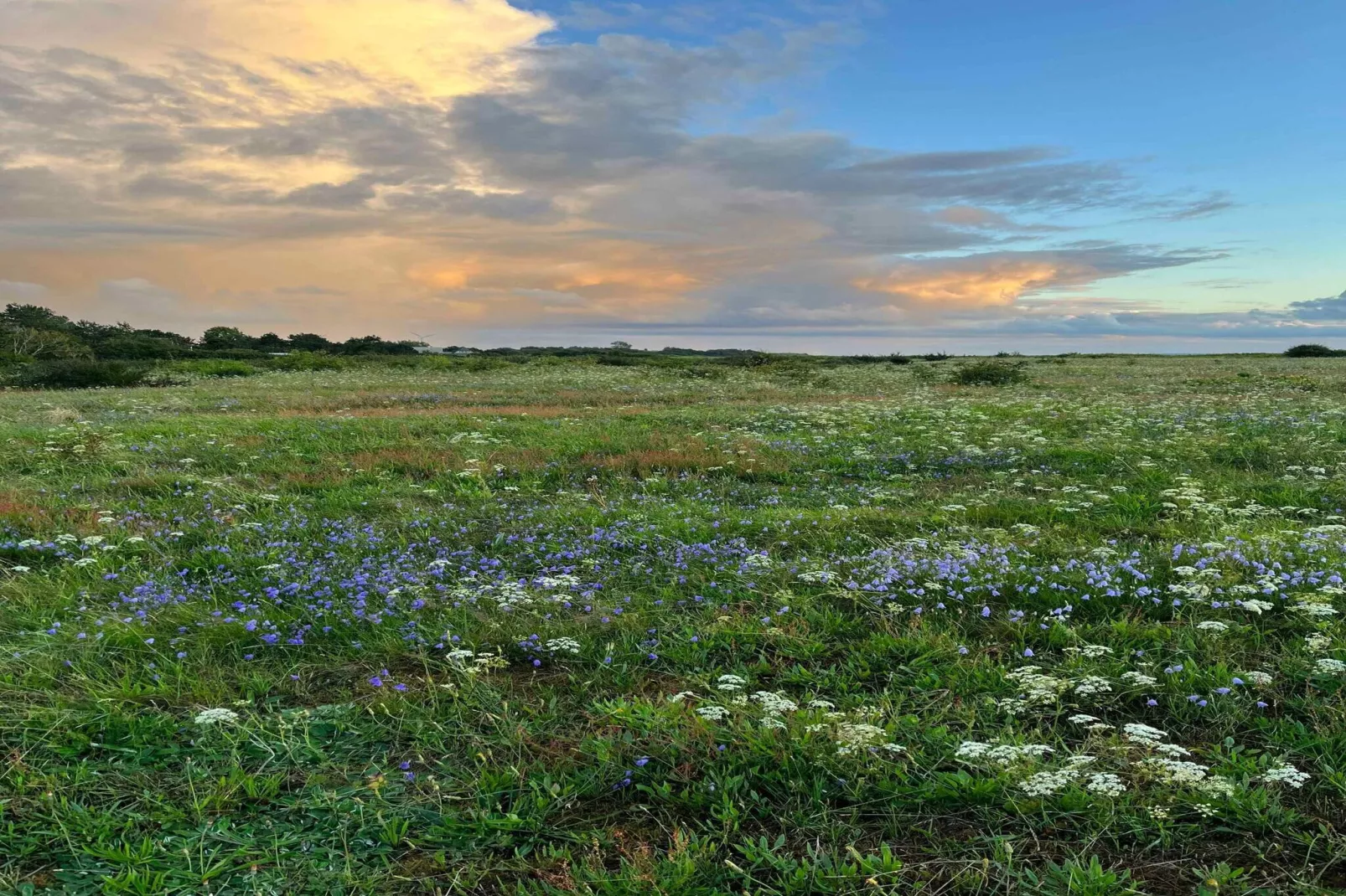 5 sterren vakantie huis in Tranekær-Niet-getagd