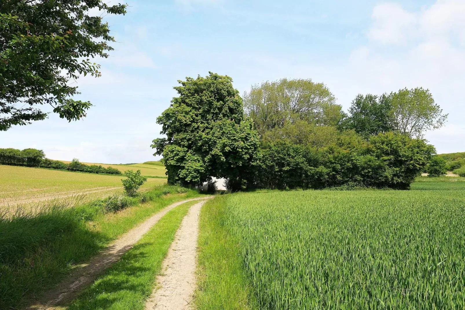 6 persoons vakantie huis in Humble-By Traum-Uitzicht