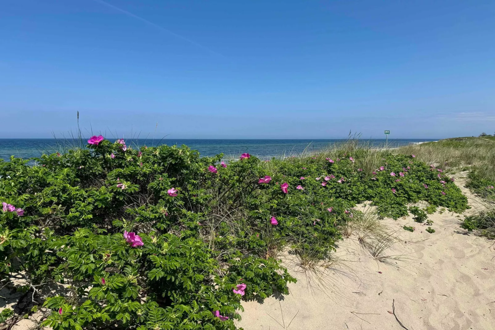 5 sterren vakantie huis in Græsted-Buitenlucht