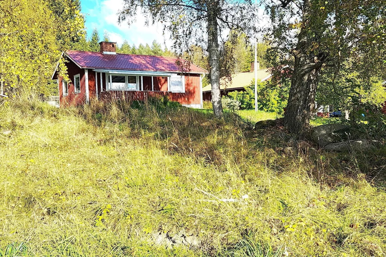 Gezellig vakantiehuis vlakbij bos en meer-Buitenlucht