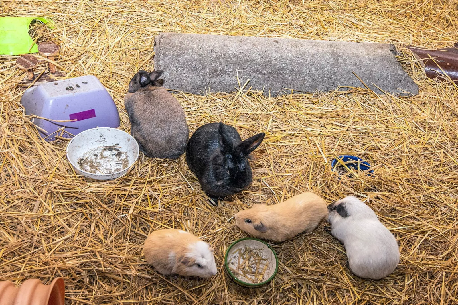 4 Personen vakantie huis in Højer-Niet-getagd