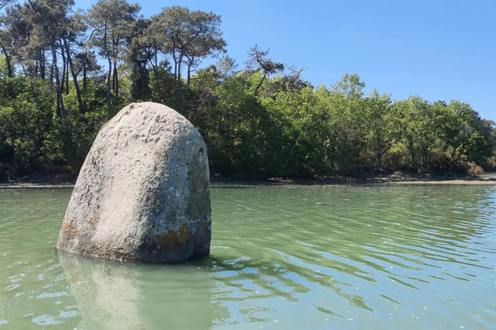 Appartements à Pont l'Abbé-Niet-getagd