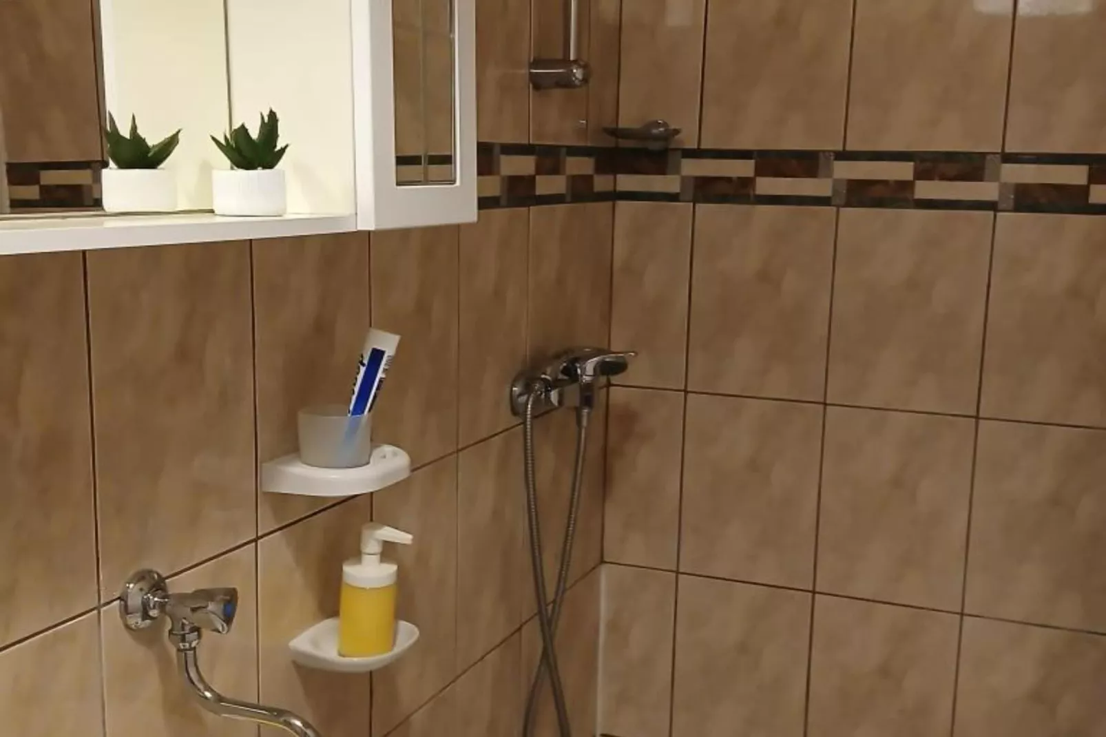 Apartmani Green Oasis - Studio Apartment with Terrace and Sea View-Badkamer