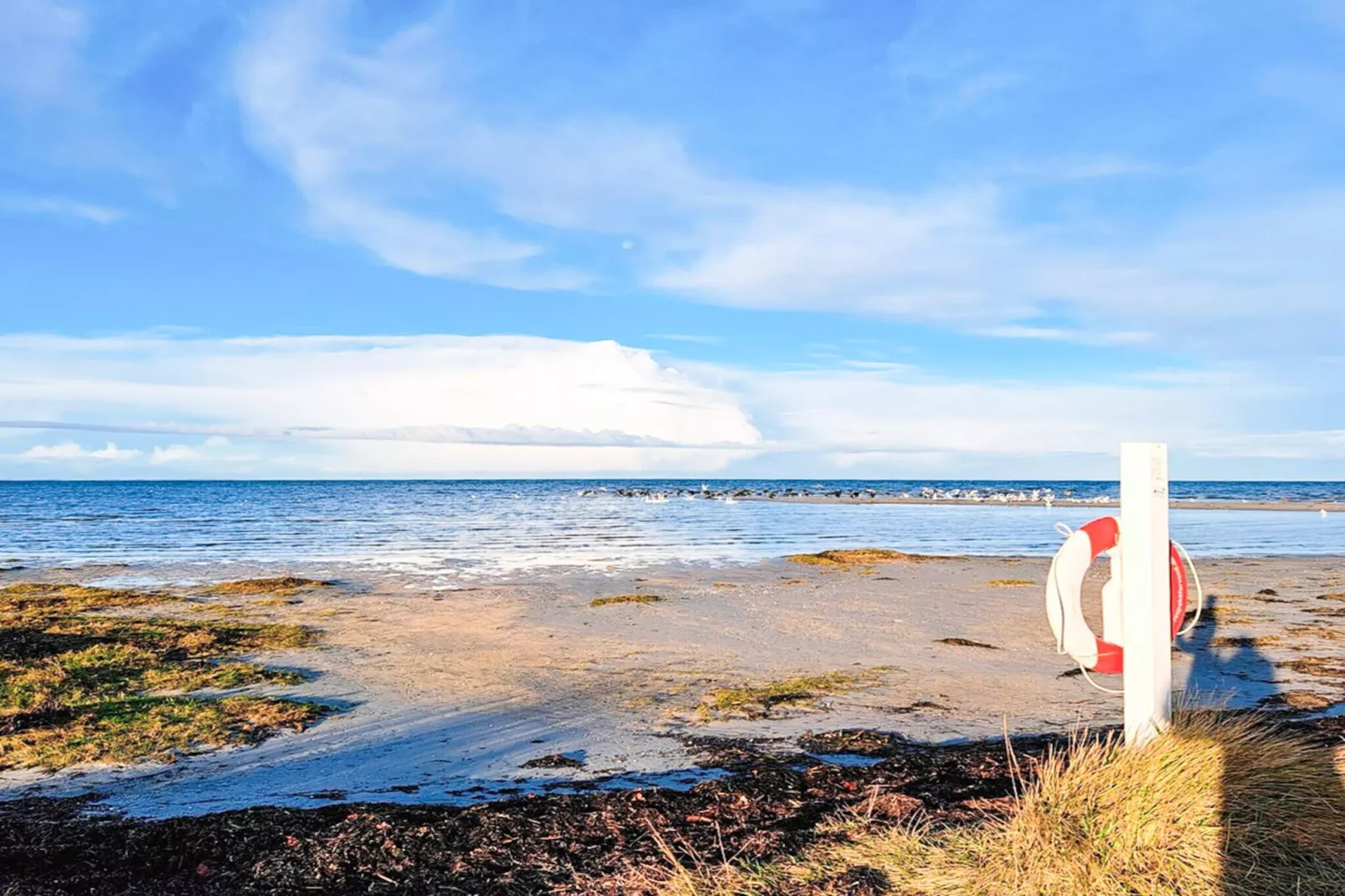 6 persoons vakantie huis in Glesborg-Waterzicht