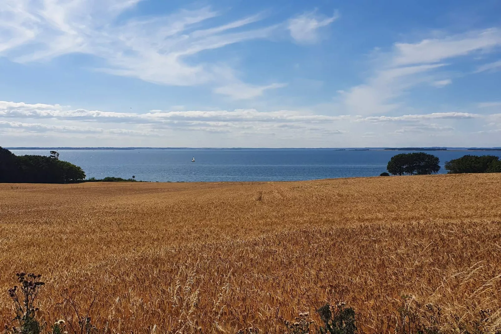 4 persoons vakantie huis in Assens-Waterzicht