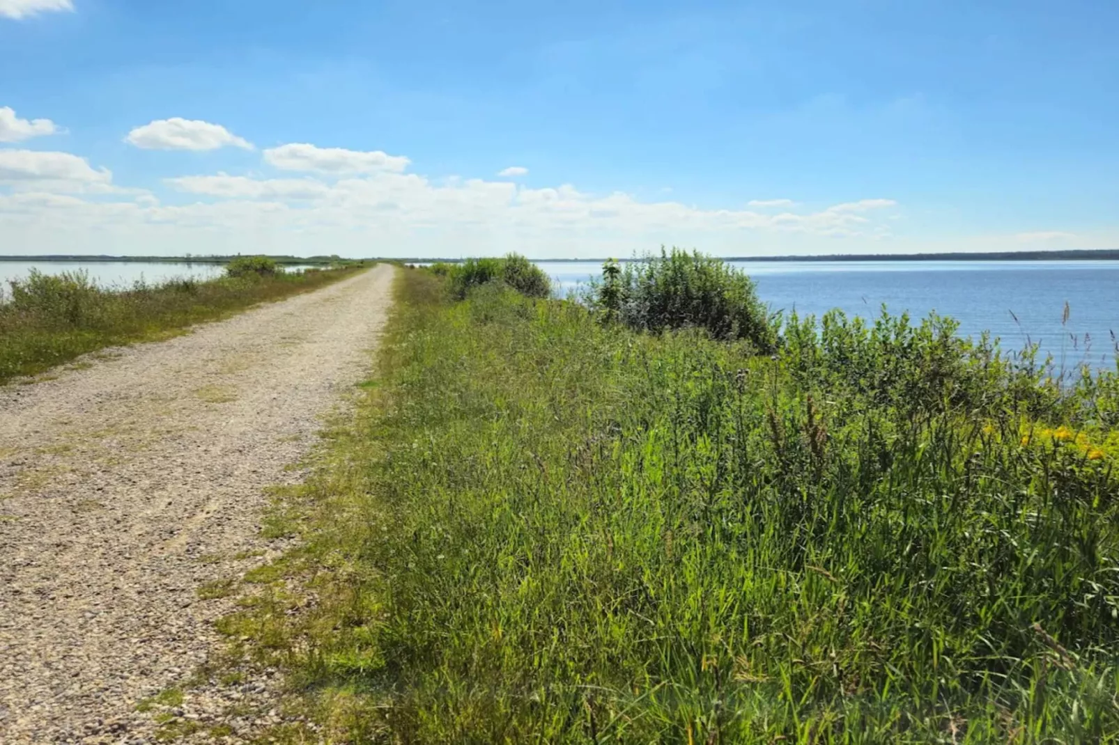 6 persoons vakantie huis in Henne-Waterzicht