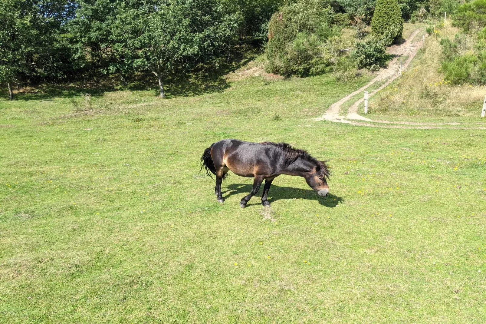 6 persoons vakantie huis in Ebeltoft-Niet-getagd