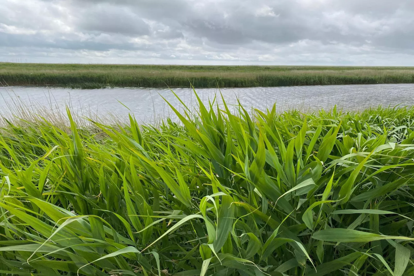 5 persoons vakantie huis in Højer-By Traum-Waterzicht