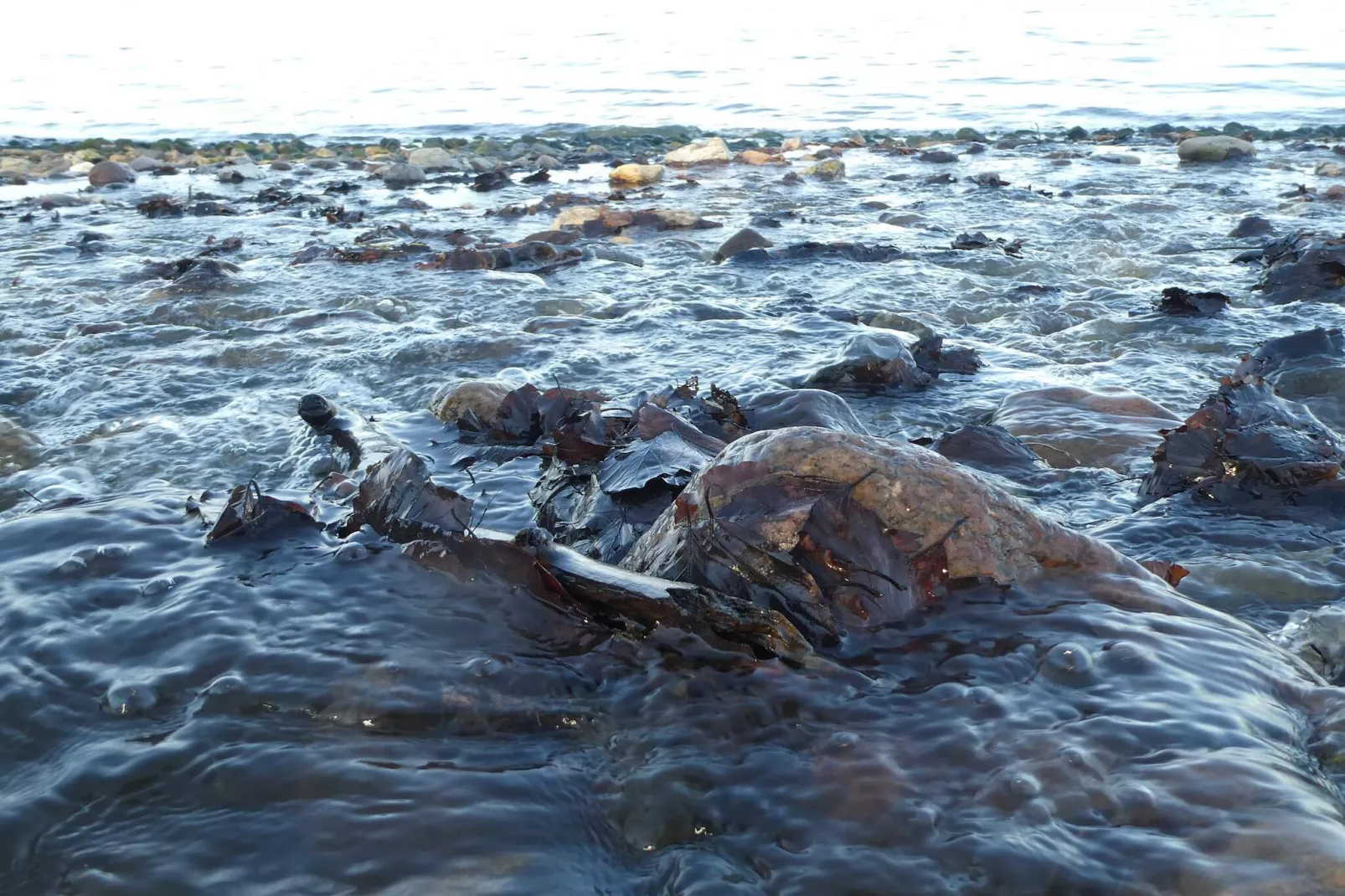 4 persoons vakantie huis in Haderslev-By Traum-Waterzicht