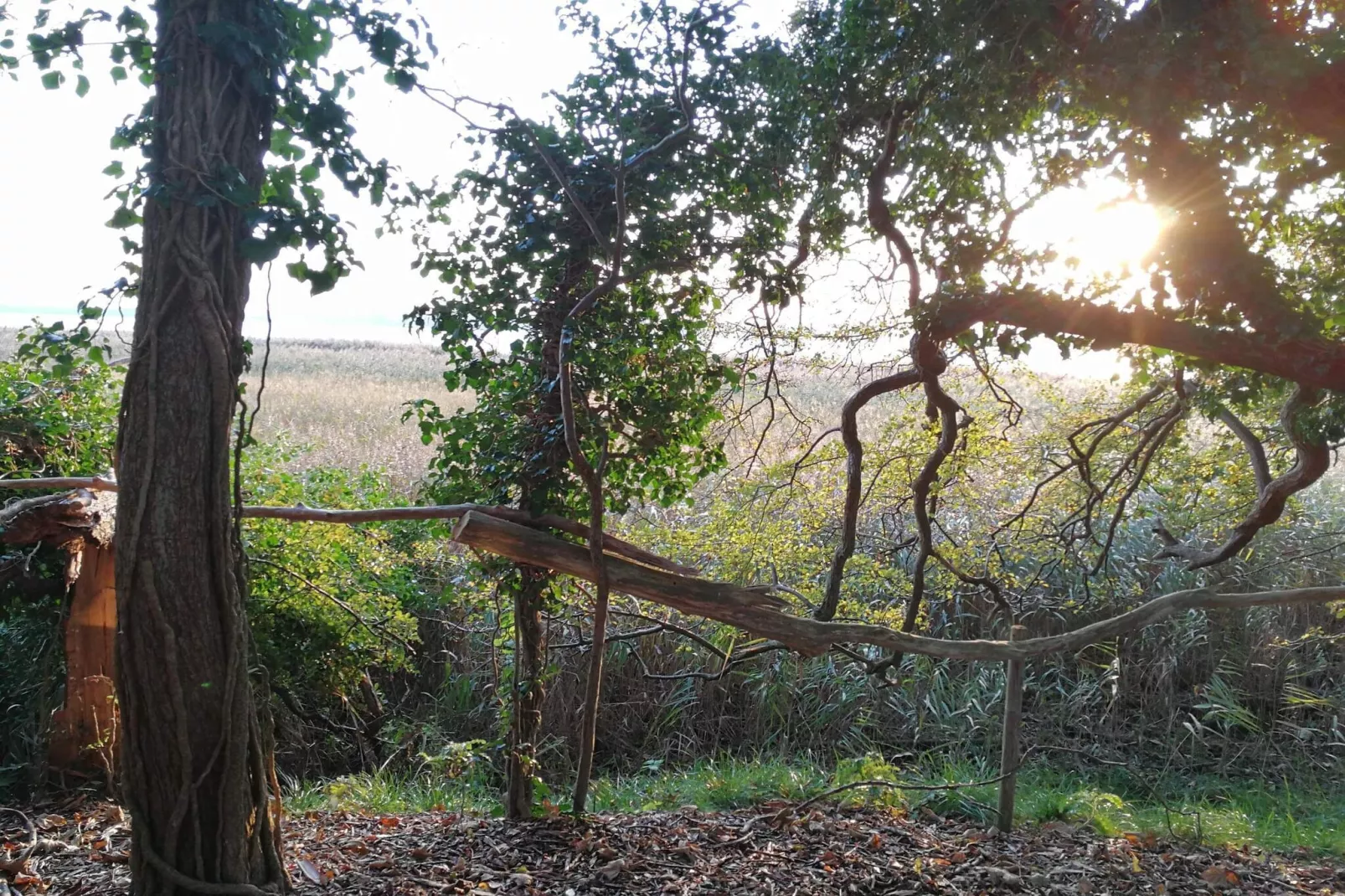 6 persoons vakantie huis in Præstø-By Traum-Niet-getagd