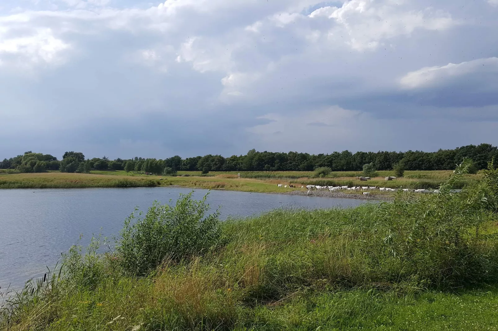 8 persoons vakantie huis in Nysted-Waterzicht