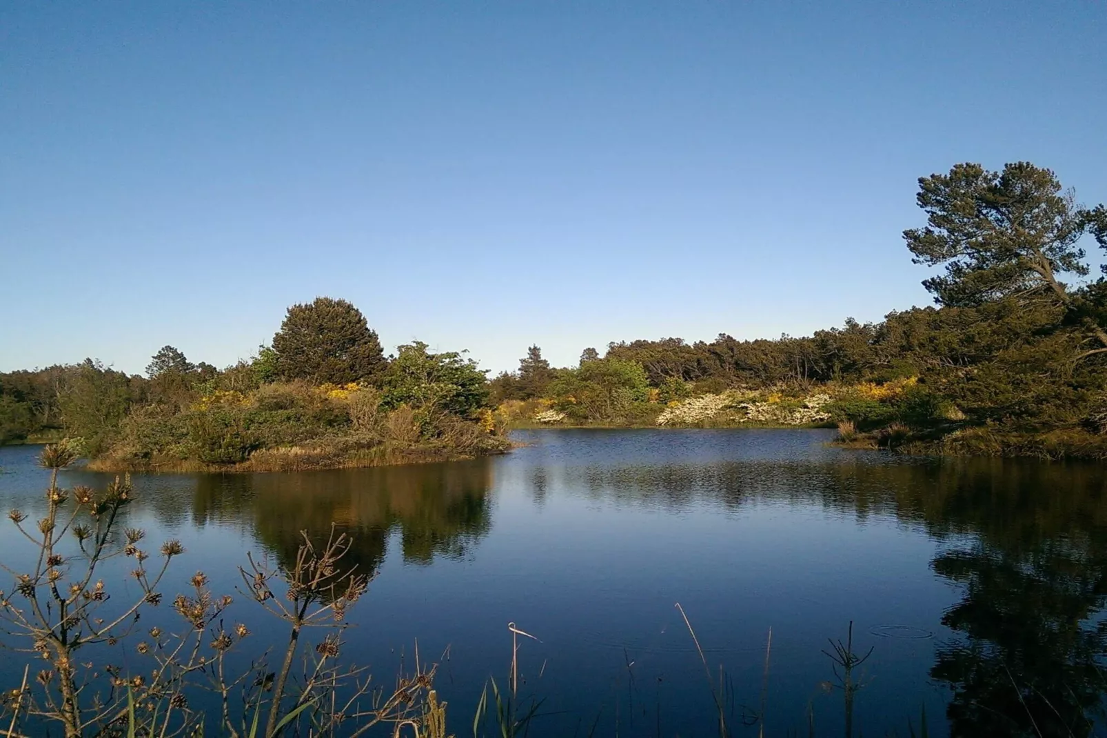 Gezinsuitje in Lodskovvad -- By Traum Ferienwohnungen-Waterzicht