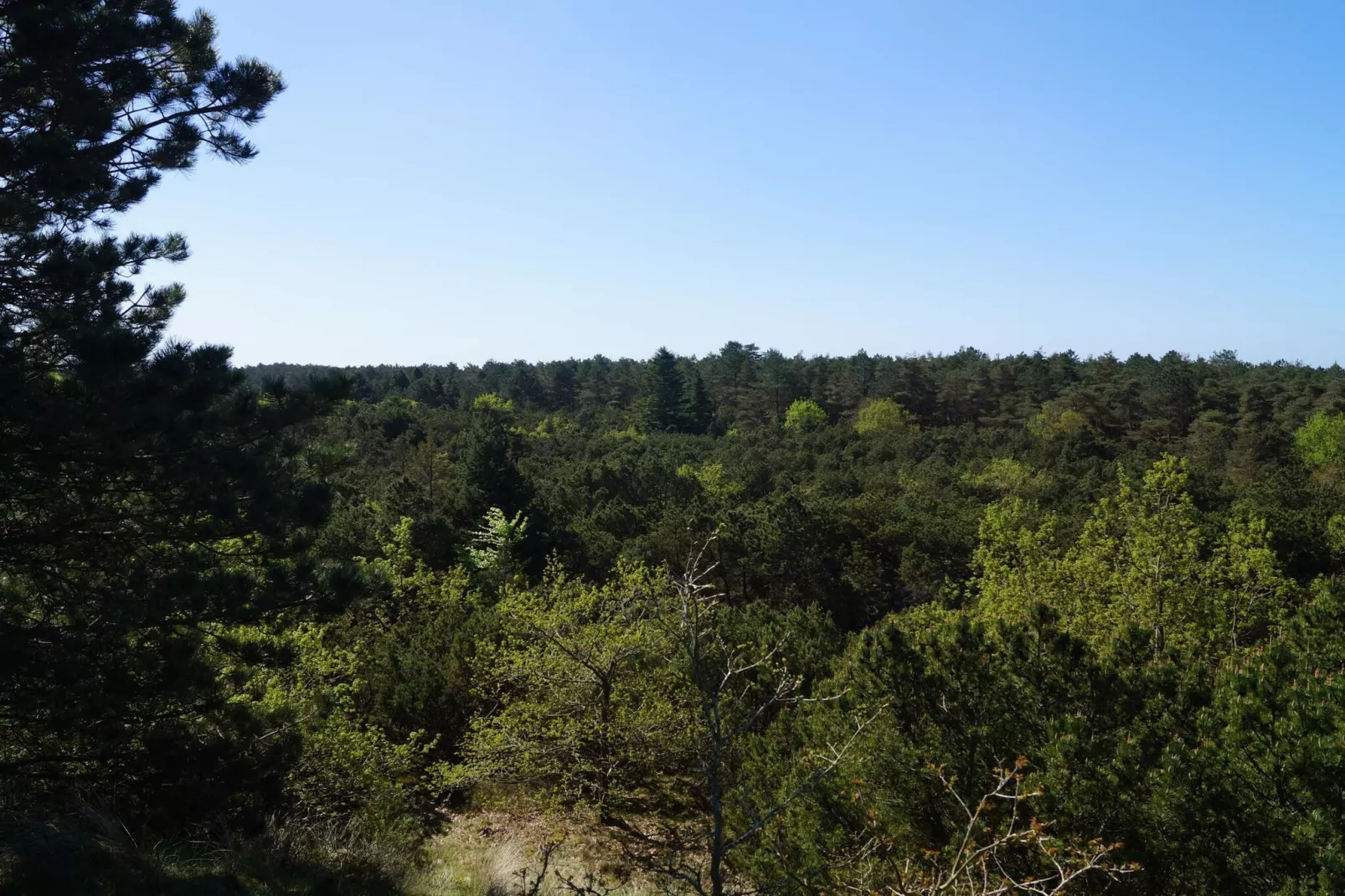 6 persoons vakantie huis in Rømø-By Traum-Niet-getagd