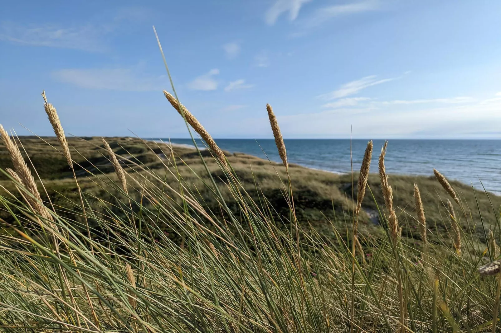 10 persoons vakantie huis in Ulfborg-By Traum-Waterzicht