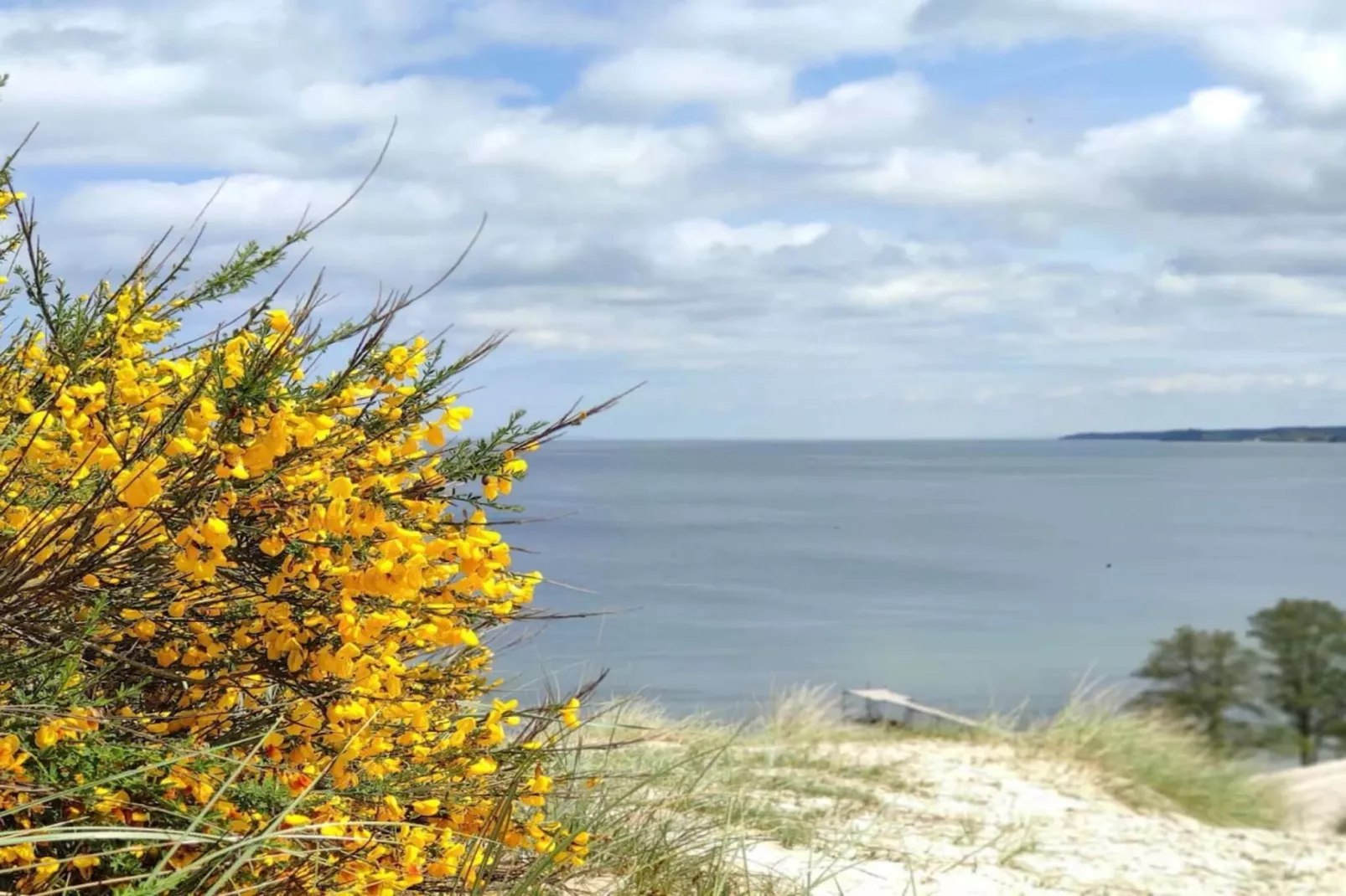 6 persoons vakantie huis in Børkop-By Traum-Waterzicht