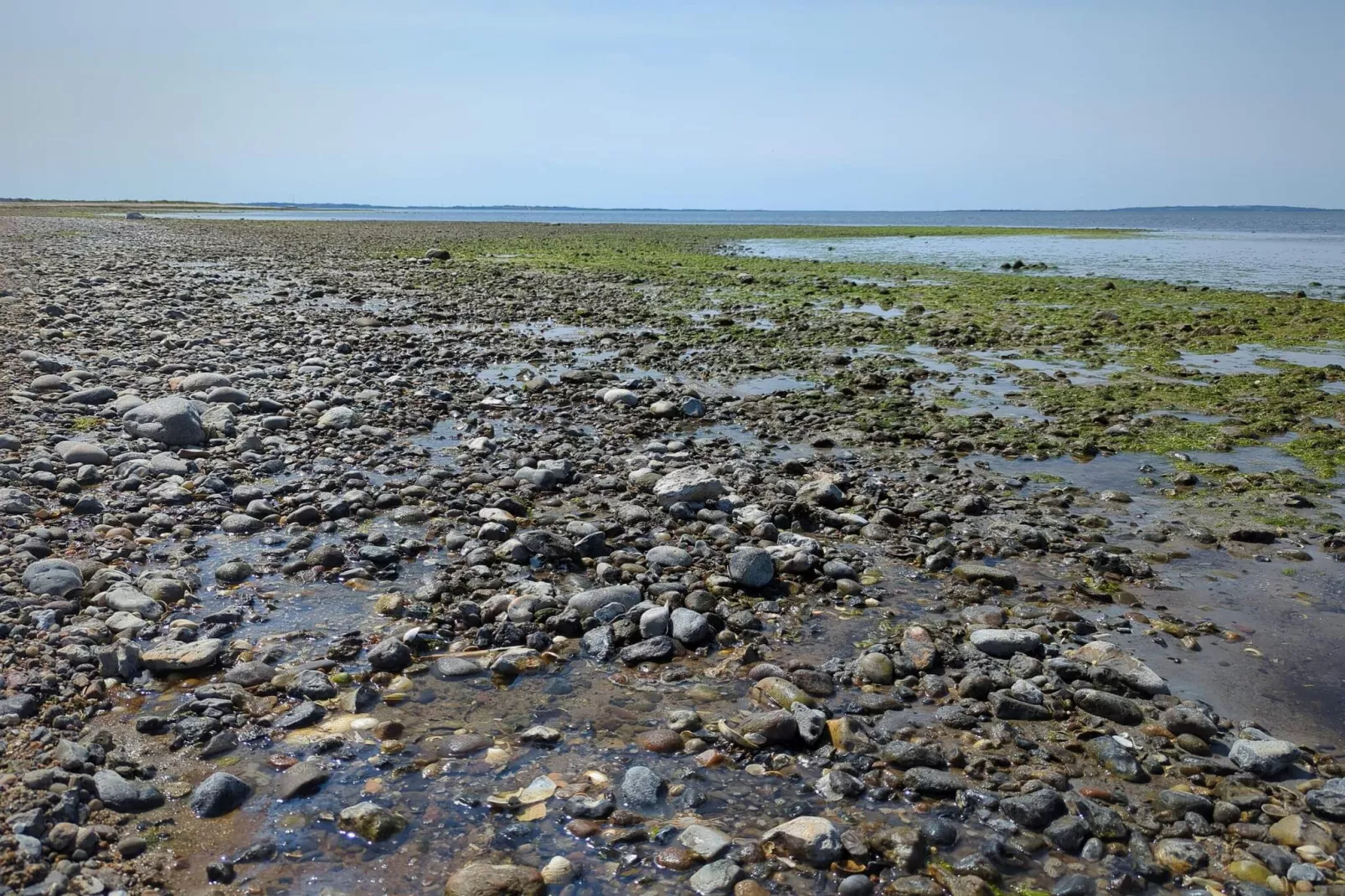 6 persoons vakantie huis in Løgstør-Waterzicht