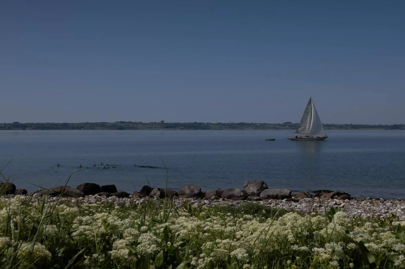 Panoramisch toevluchtsoord in Borgnaes -- By Traum Ferienwohnungen-Waterzicht