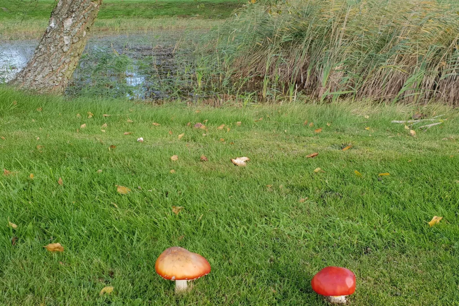 6 persoons vakantie huis in Ørsted-By Traum-Niet-getagd