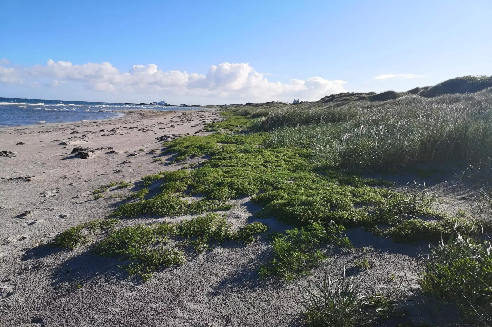 12 persoons vakantie huis in Læsø-By Traum-Waterzicht