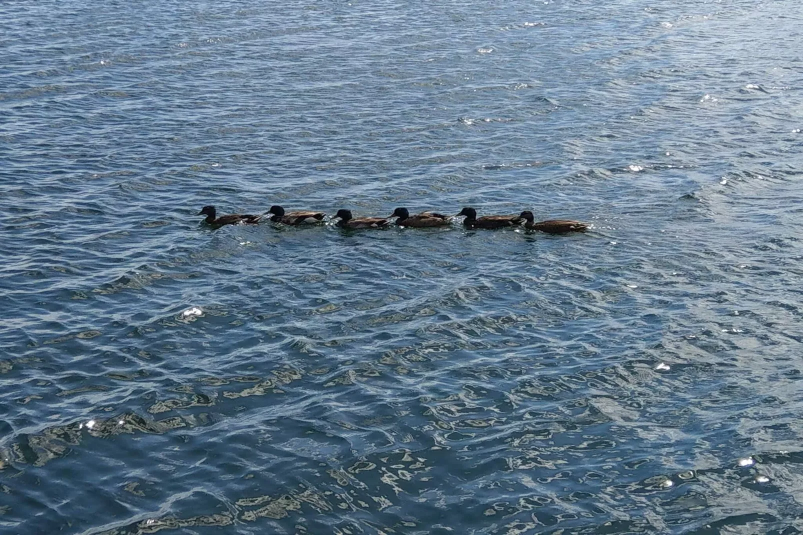 6 persoons vakantie huis in Ørsted-By Traum-Waterzicht