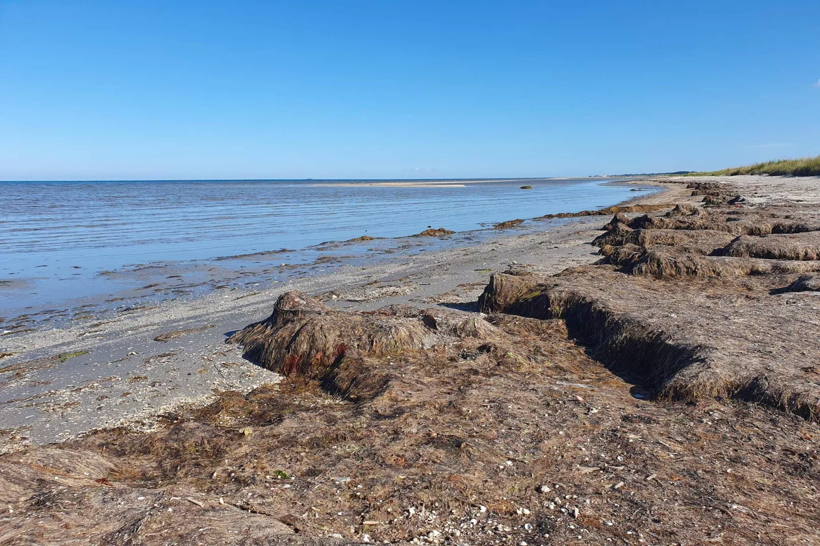 Natuur retraite in albaek -- By Traum Ferienwohnungen-Waterzicht