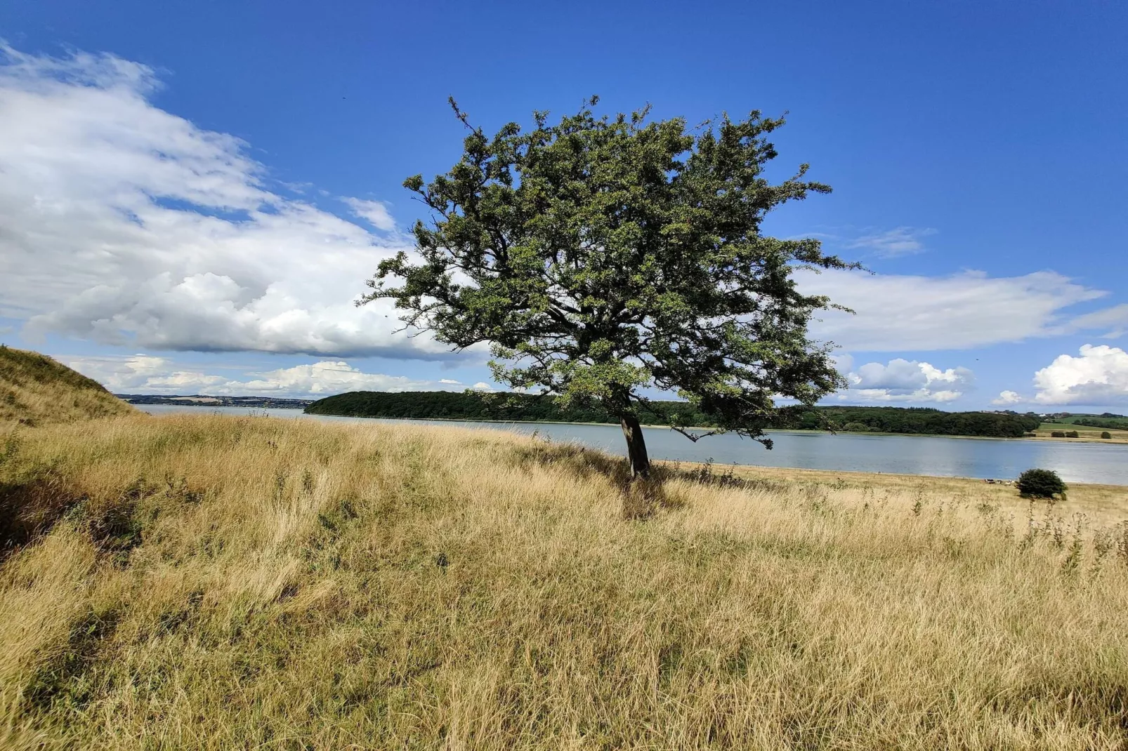 7 persoons vakantie huis in Kolind-By Traum-Waterzicht