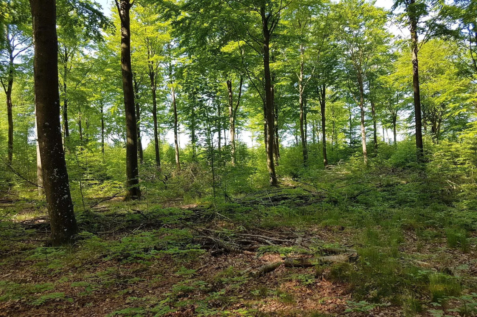 Gezellig toevluchtsoord in Arrild -- By Traum Ferienwohnungen-Niet-getagd