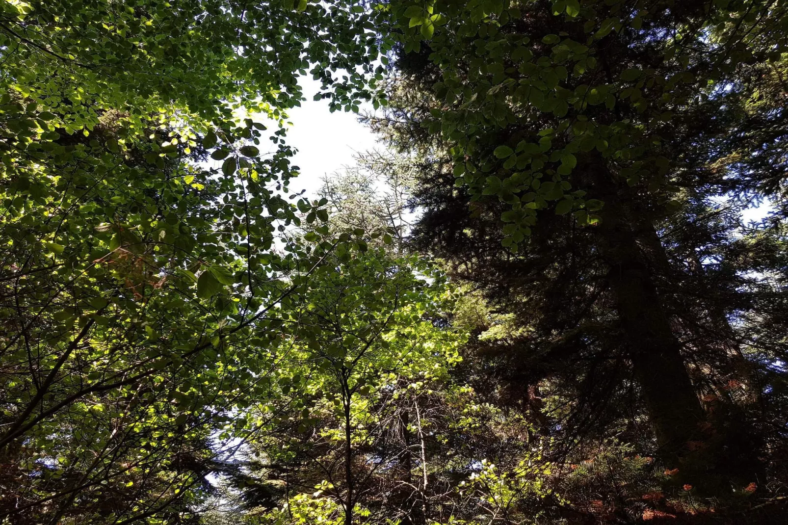 6 persoons vakantie huis in Toftlund-By Traum-Niet-getagd