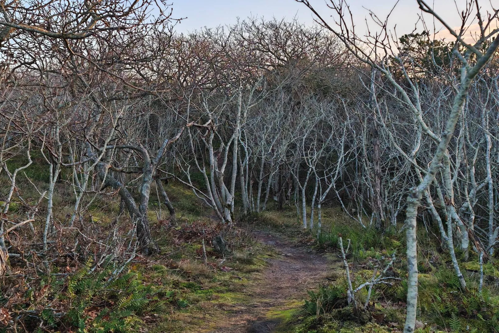 4 persoons vakantie huis in Skjern-By Traum-Niet-getagd