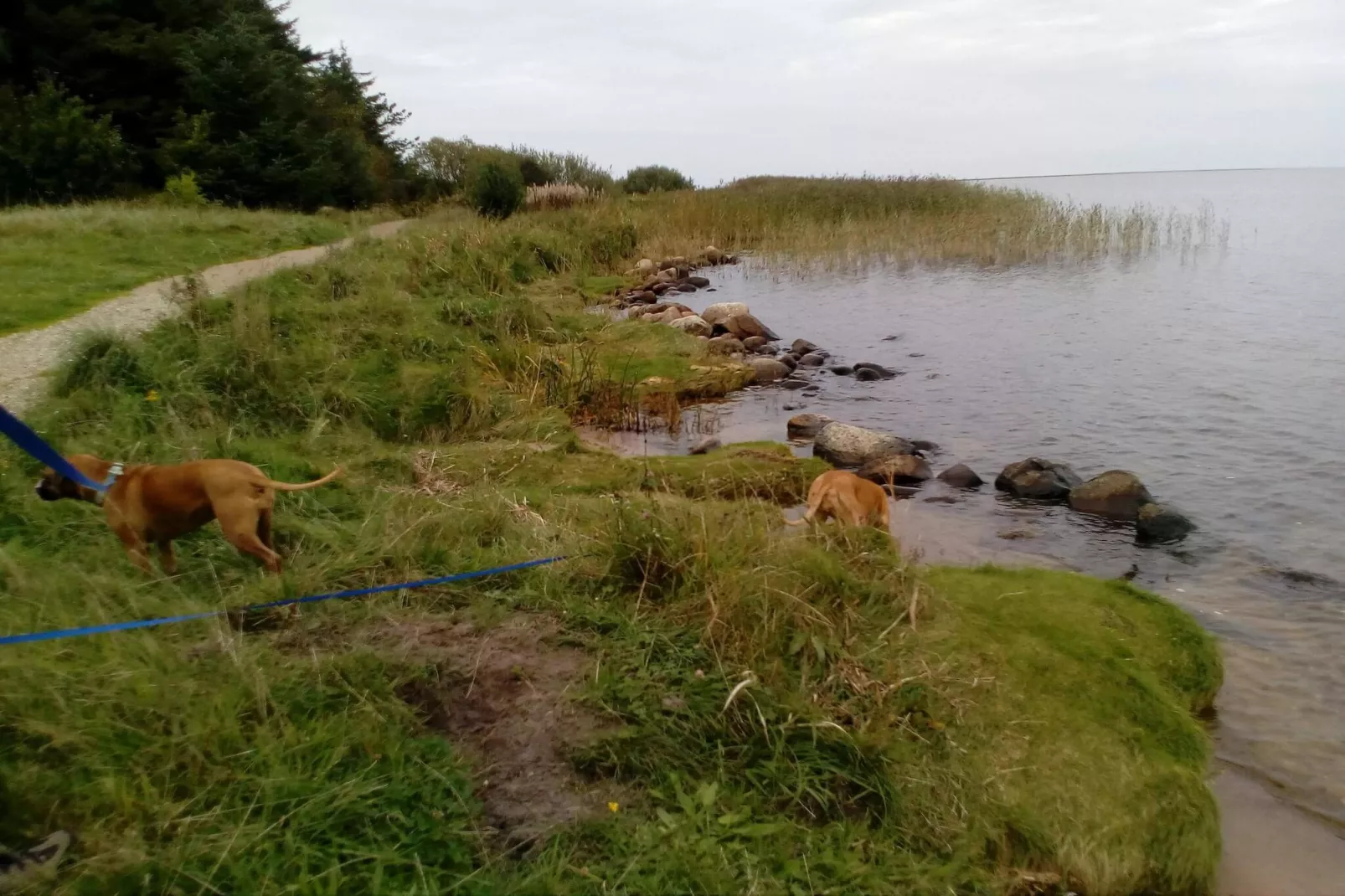 Afgelegen oase bij fjord -- By Traum Ferienwohnungen-Waterzicht