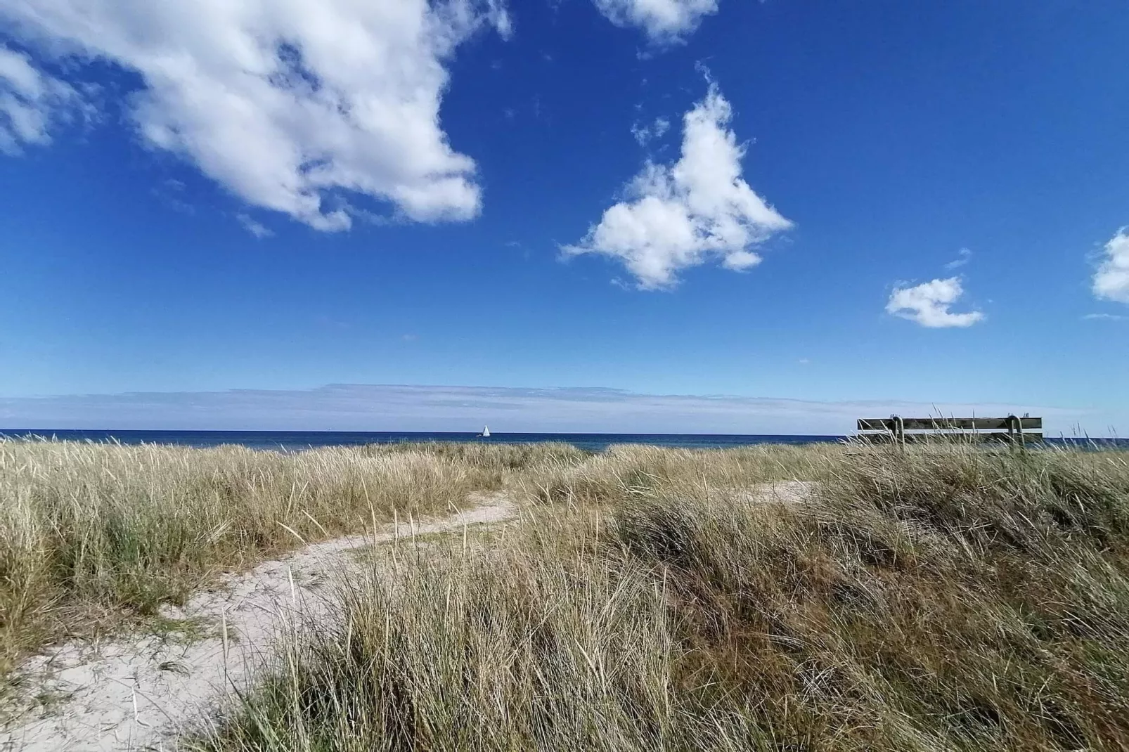 Rustig toevluchtsoord nabij strand -- By Traum Ferienwohnungen-Waterzicht