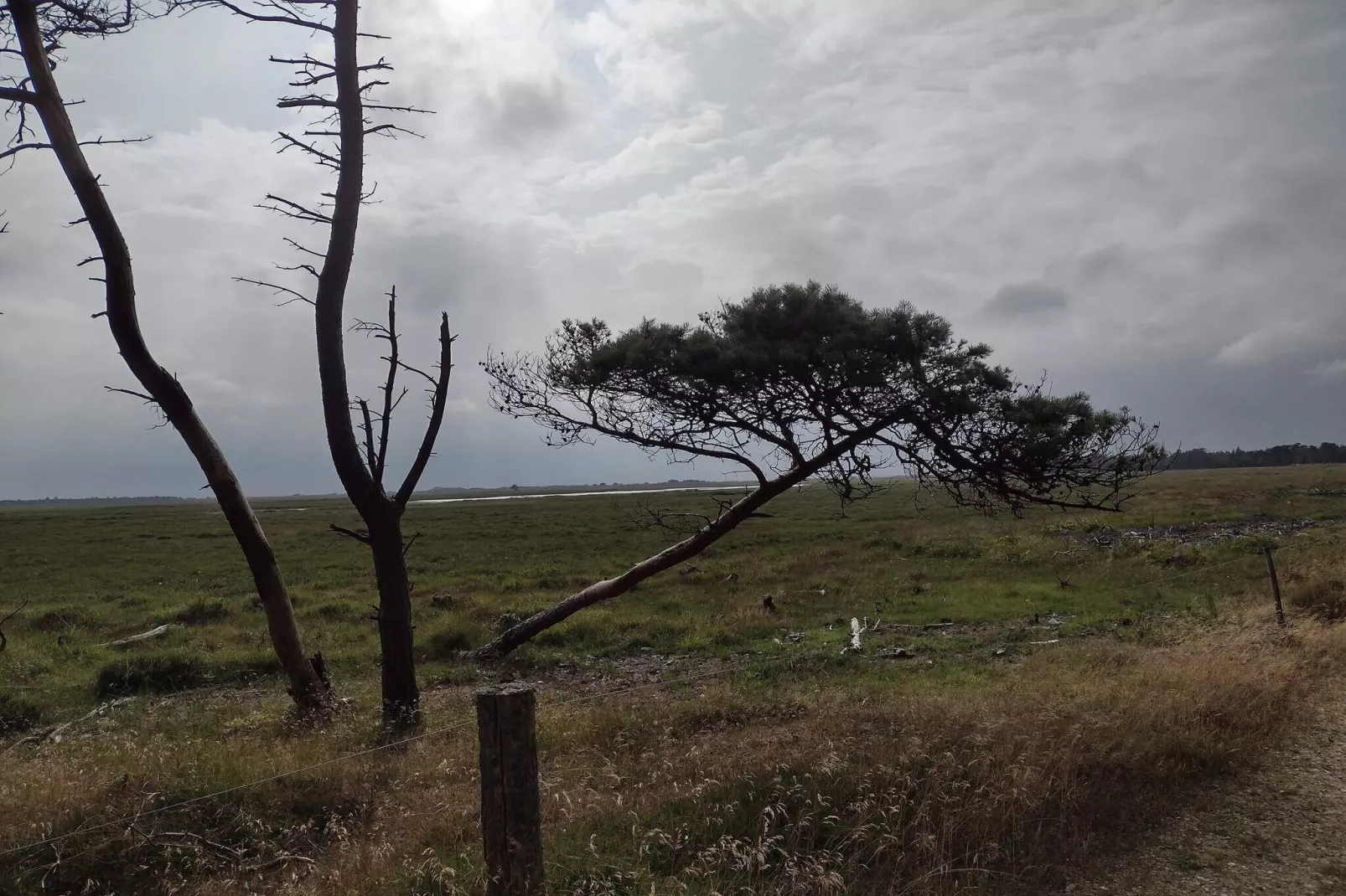 4 persoons vakantie huis in Oksbøl-By Traum-Niet-getagd