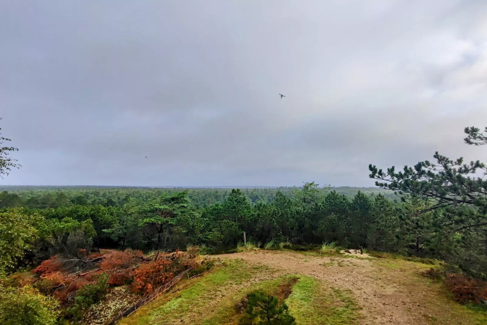 6 persoons vakantie huis in Oksbøl-Niet-getagd