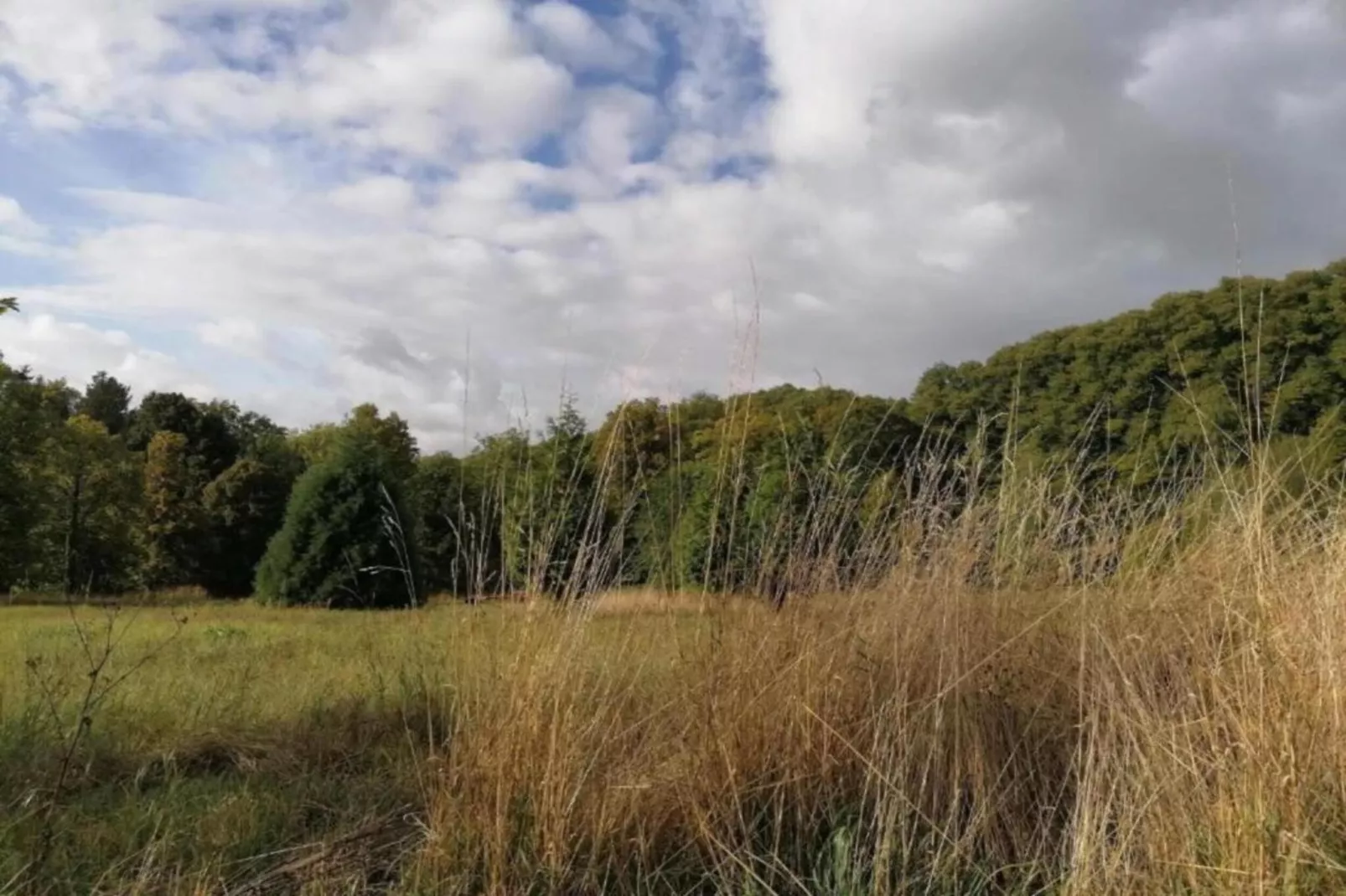Weserbergland - Bad Pyrmont-Gebieden zomer 20km