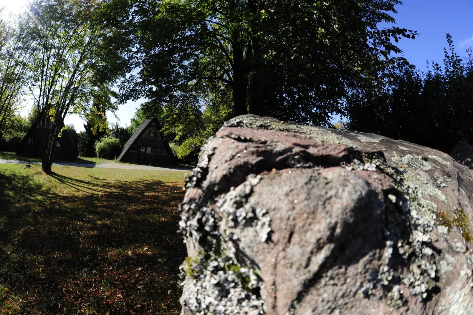 Feriendorf Waldbrunn 2-Tuinen zomer