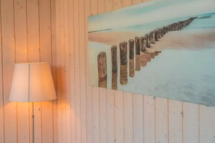 Sommerhus-nordlys 80 qm-Sfeer