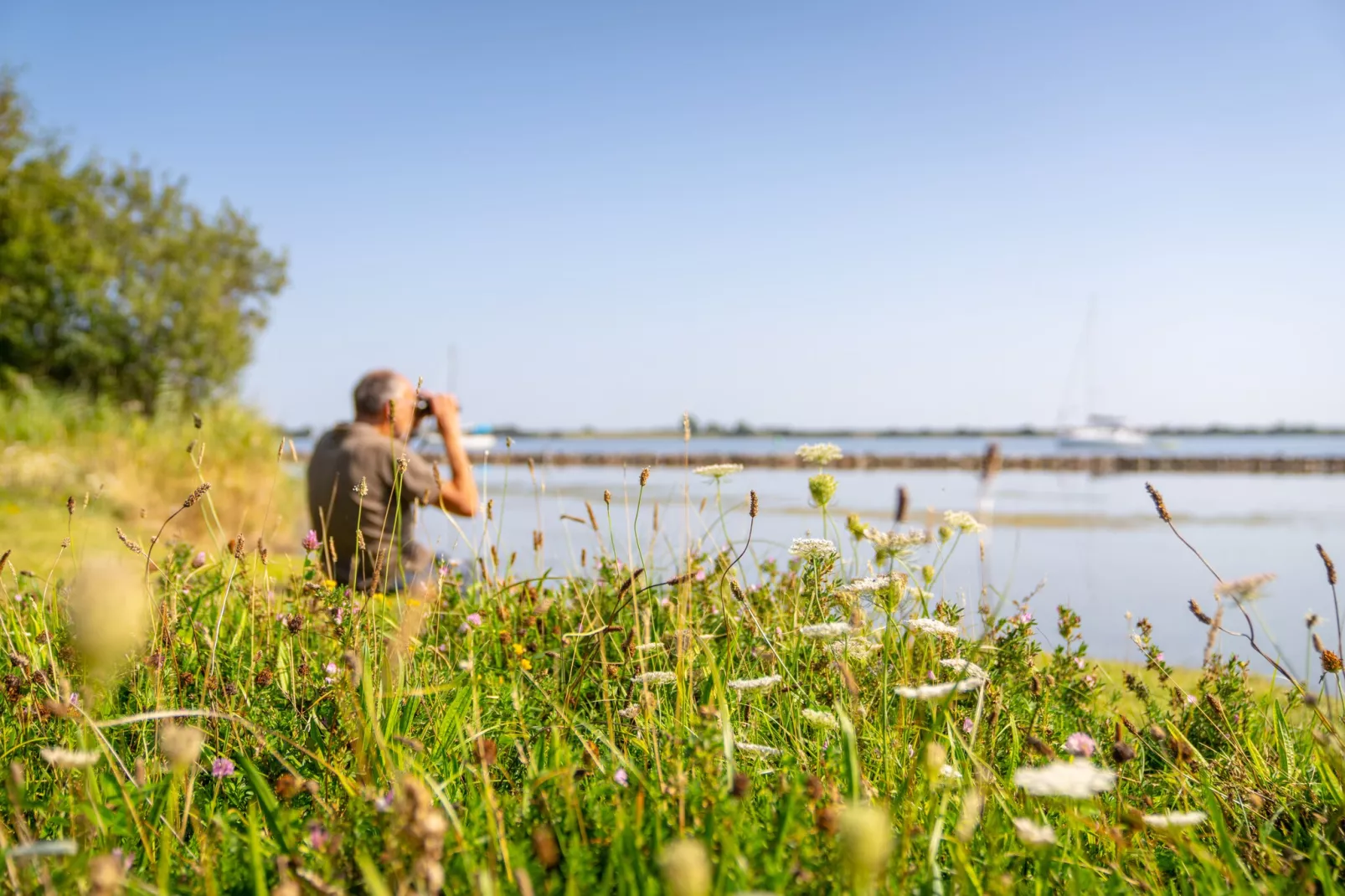 Eco Resort Grevelingenstrand-Gebieden zomer 1km