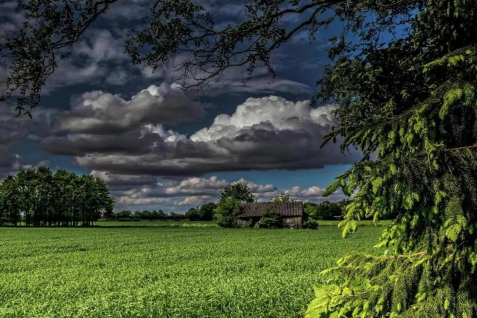 De Mattelier-Gebieden zomer 20km