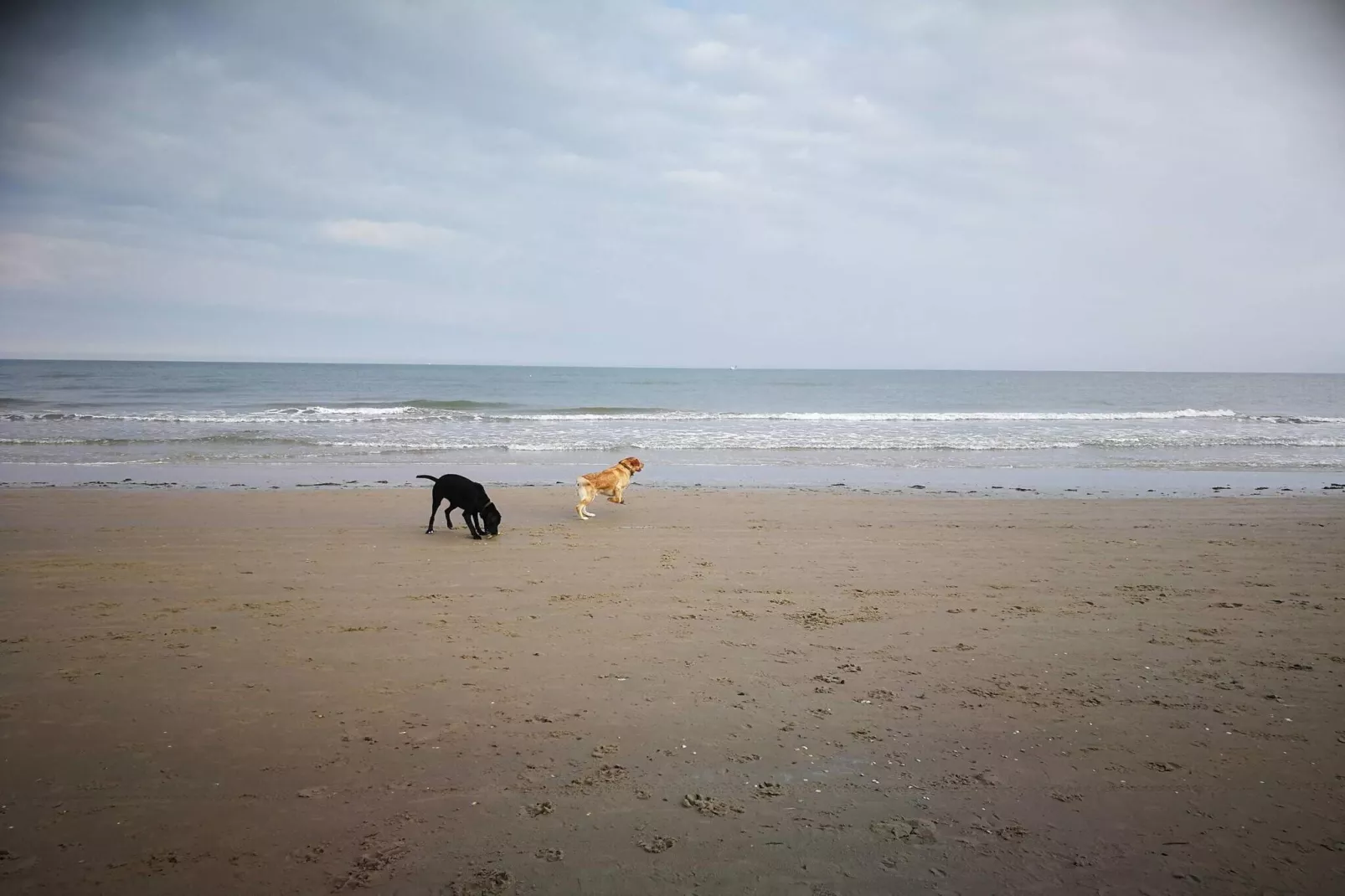 8 persoons vakantie huis in Hirtshals-By Traum-Waterzicht