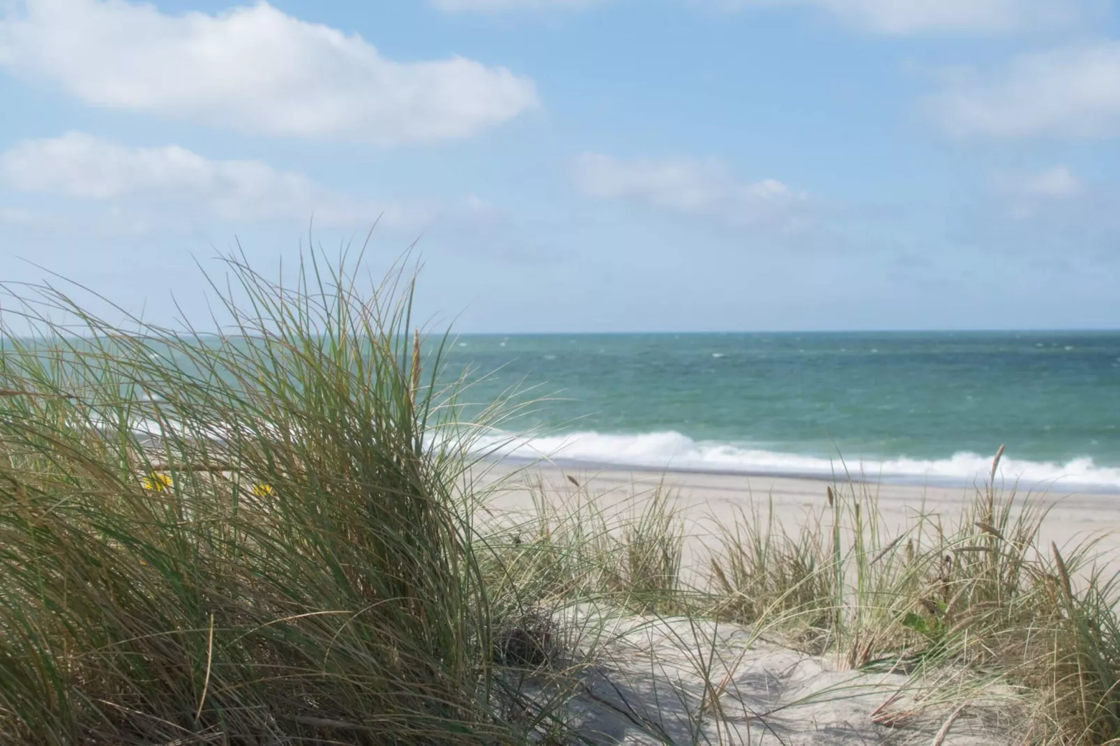 6 persoons vakantie huis in Harboøre-By Traum-Waterzicht