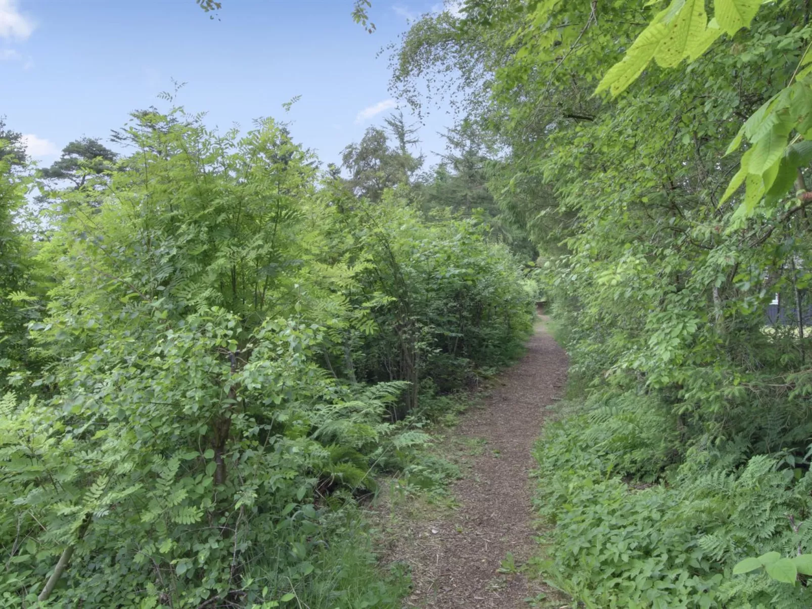 "Gerasim" - 400m from the sea-Buiten