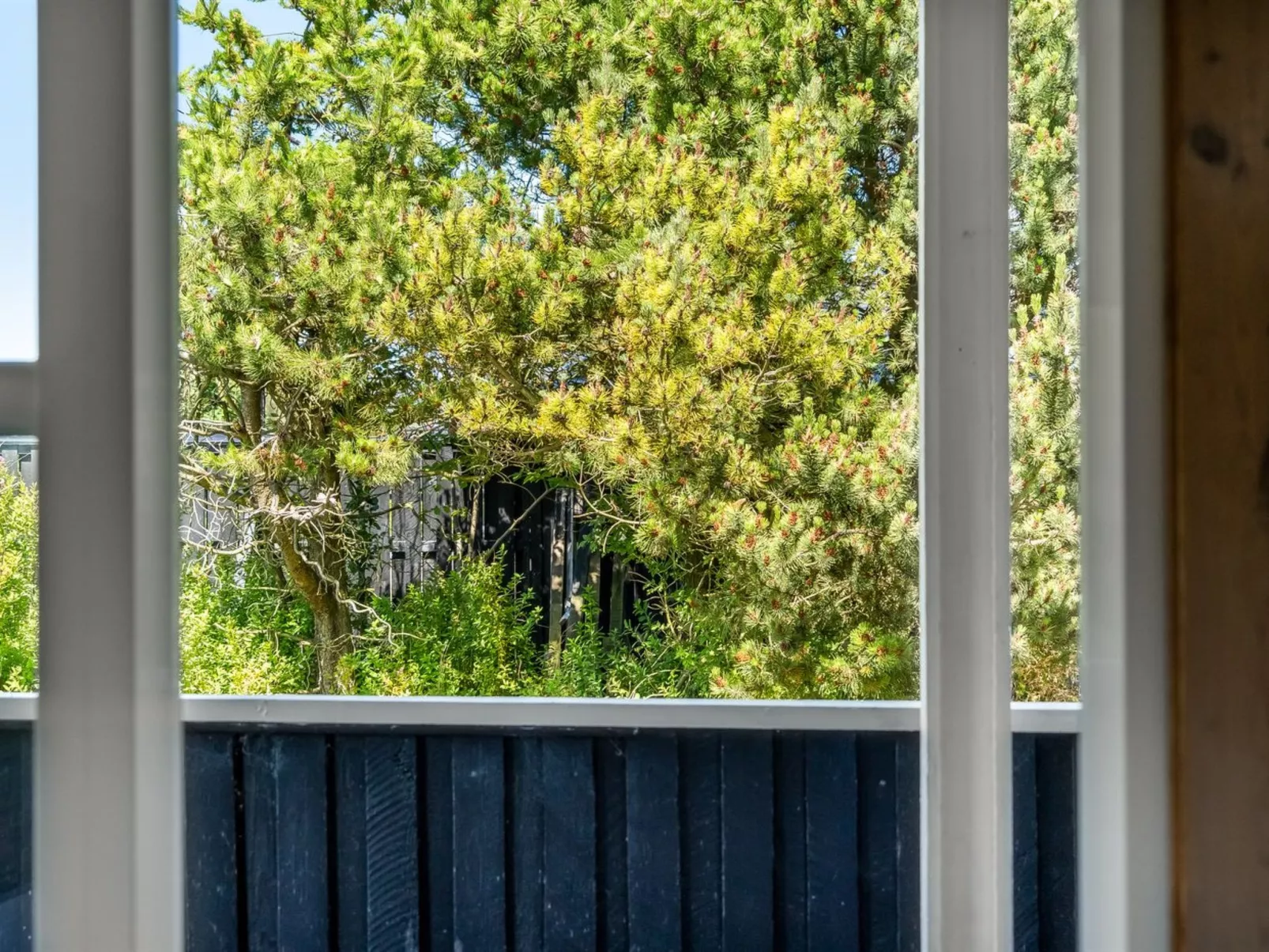 "Guja" - 1km from the sea-Buiten