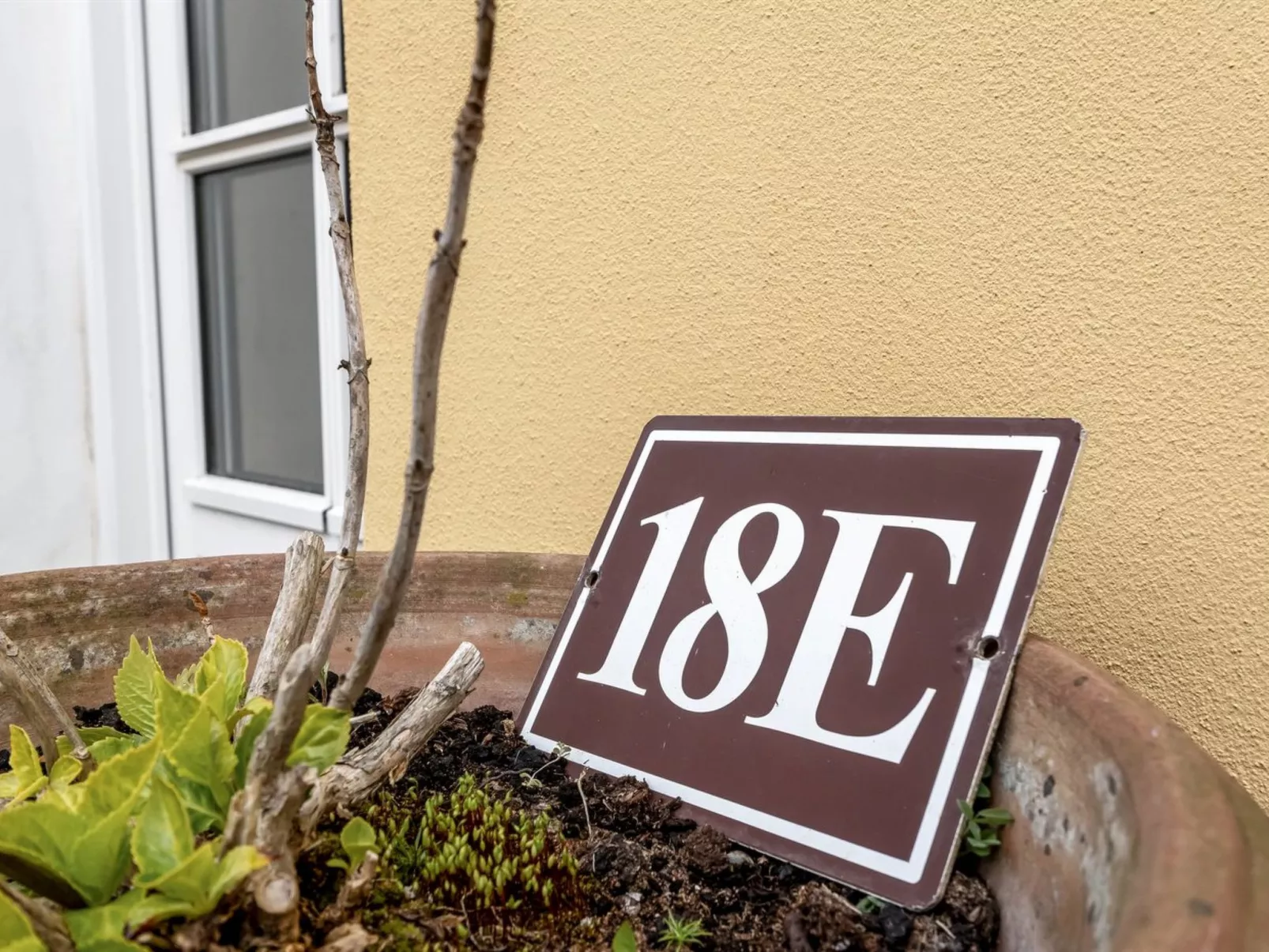 "Frederike" - 300m from the sea-Buiten