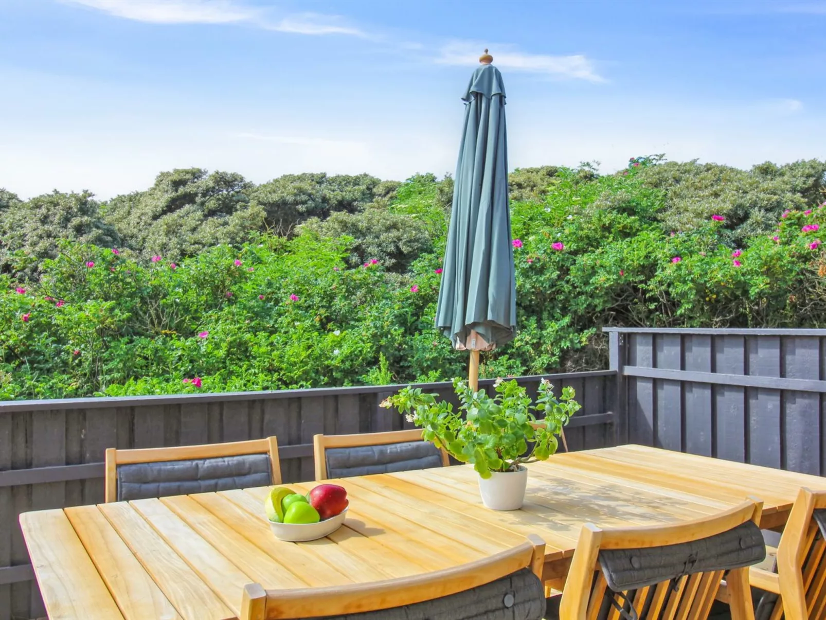 "Harry" - 100m from the sea-Buiten