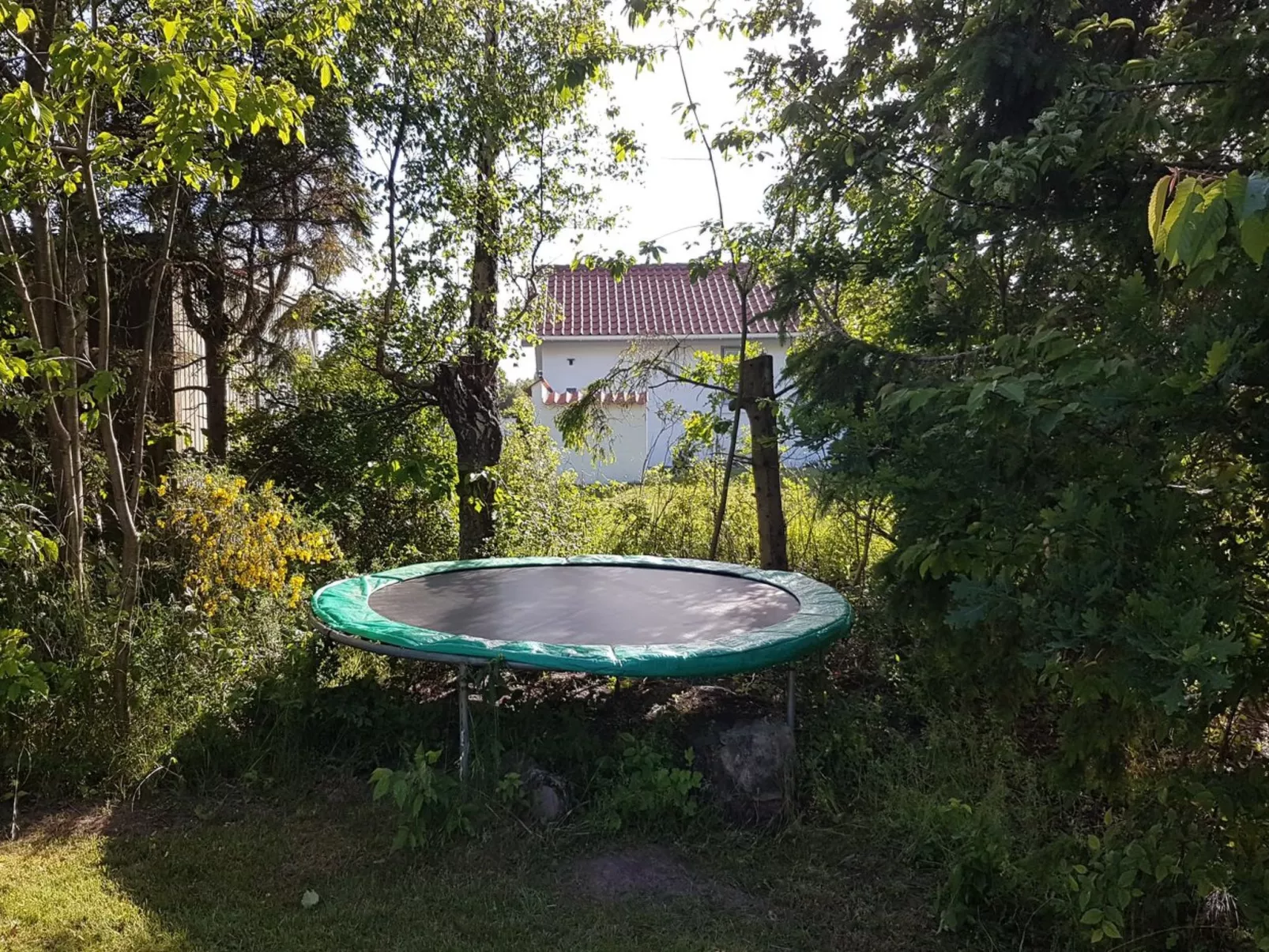 "Golubinka" - 500m from the sea-Buiten