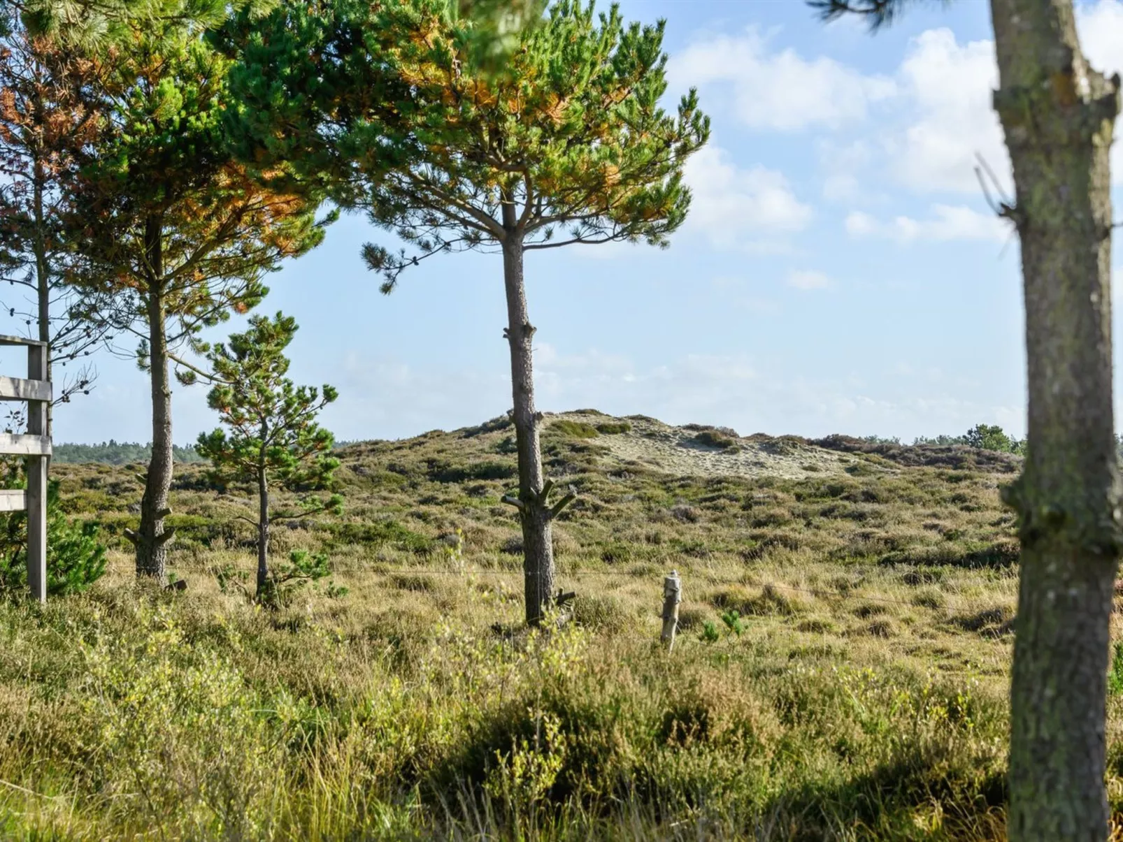 "Trana" - 2km from the sea-Buiten