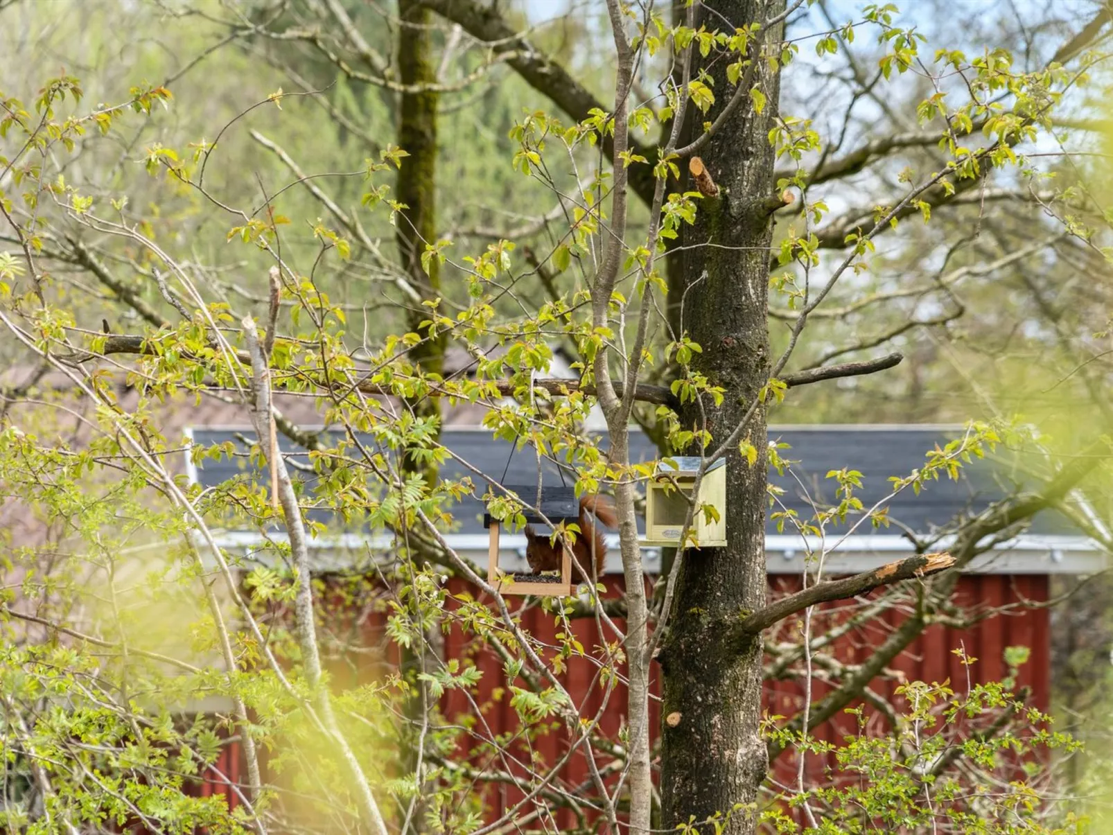 "Kea" - 30km from the sea-Binnen