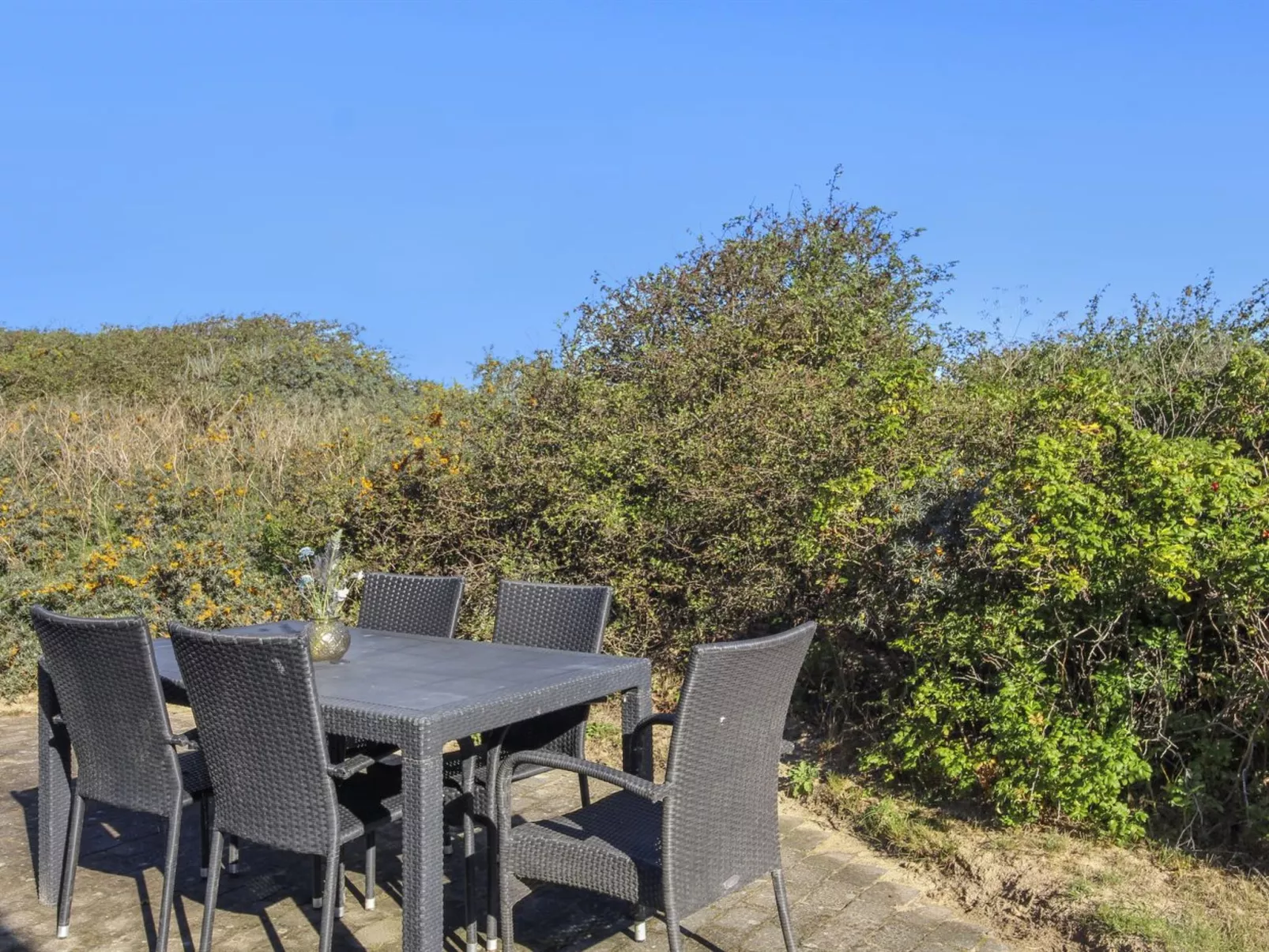 "Lothen" - 500m from the sea-Buiten