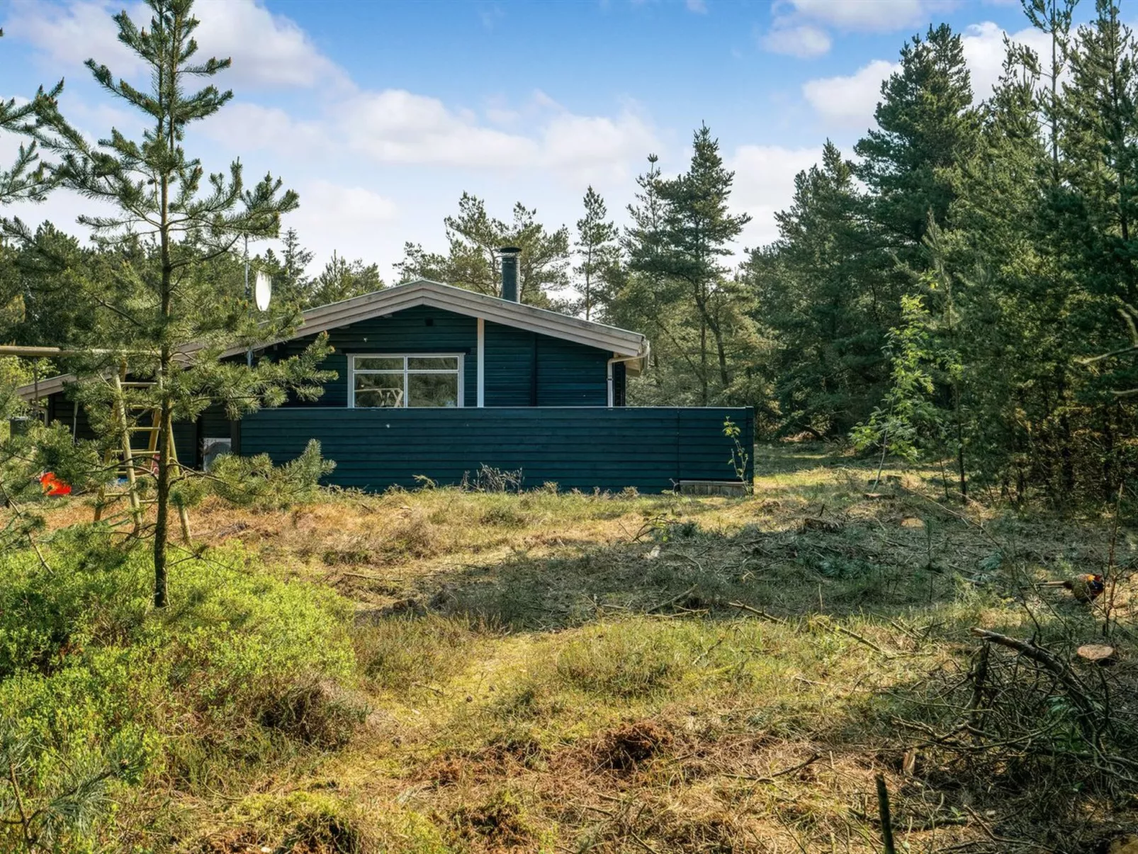 "Herborg" - 1km from the sea-Buiten